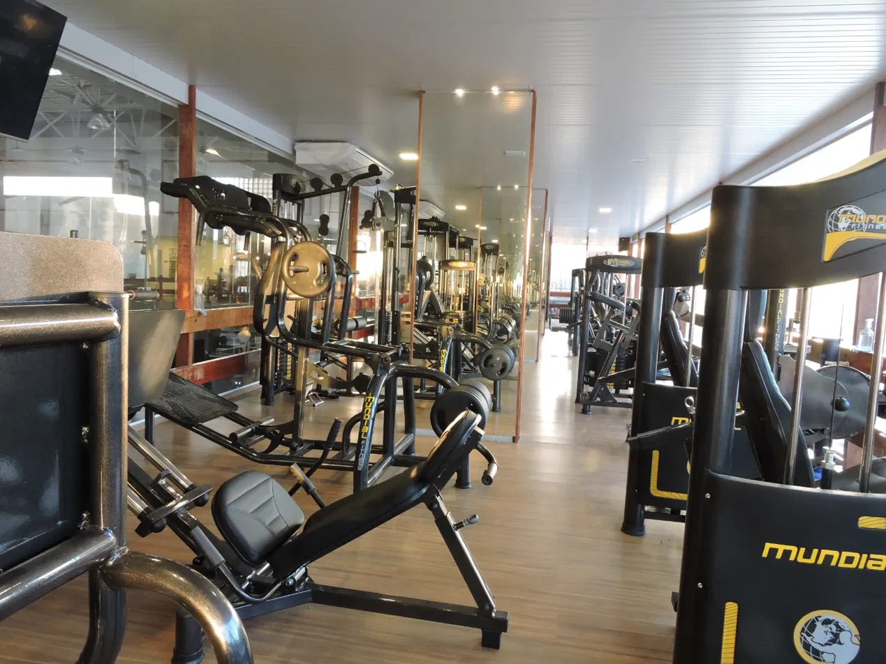 Equipamentos de musculação da InfoFit